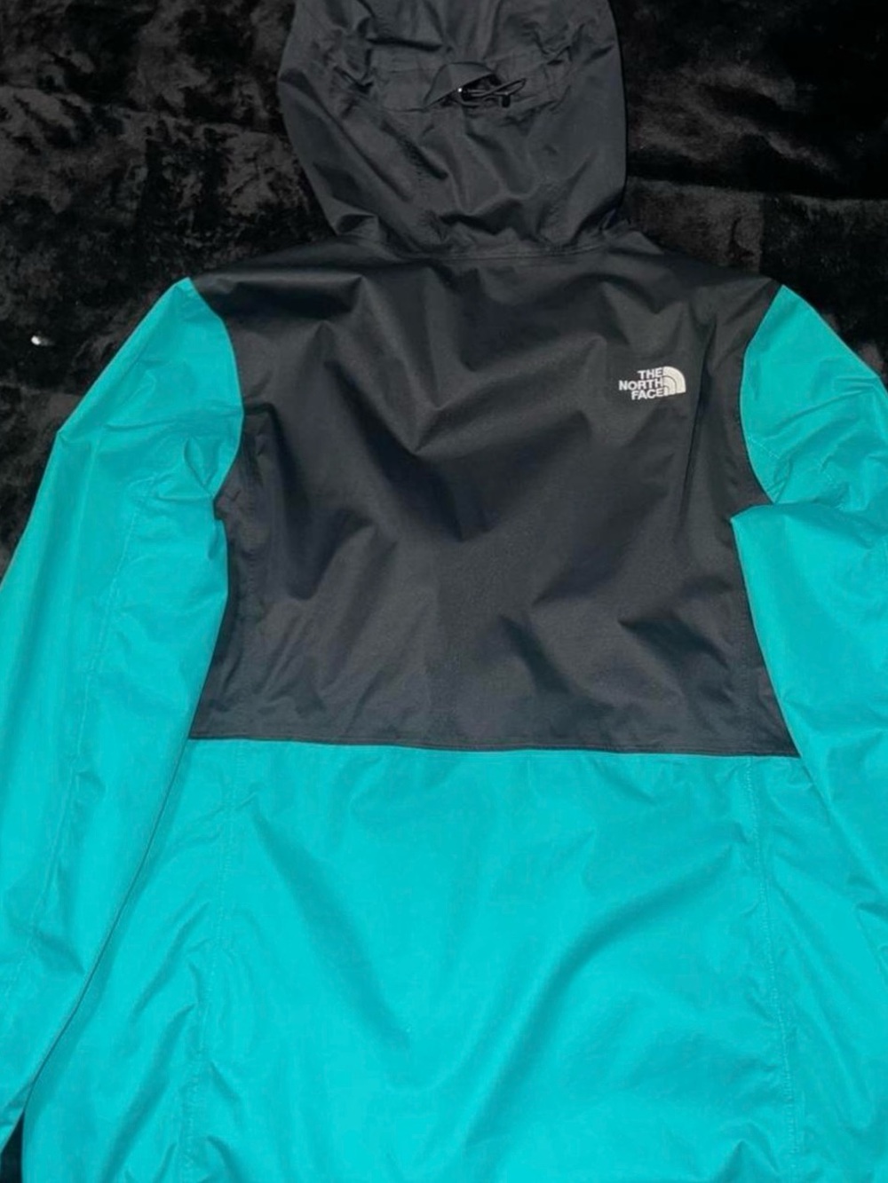 The North Face Black and Teal Ski Jacket - Picture 2 of 4